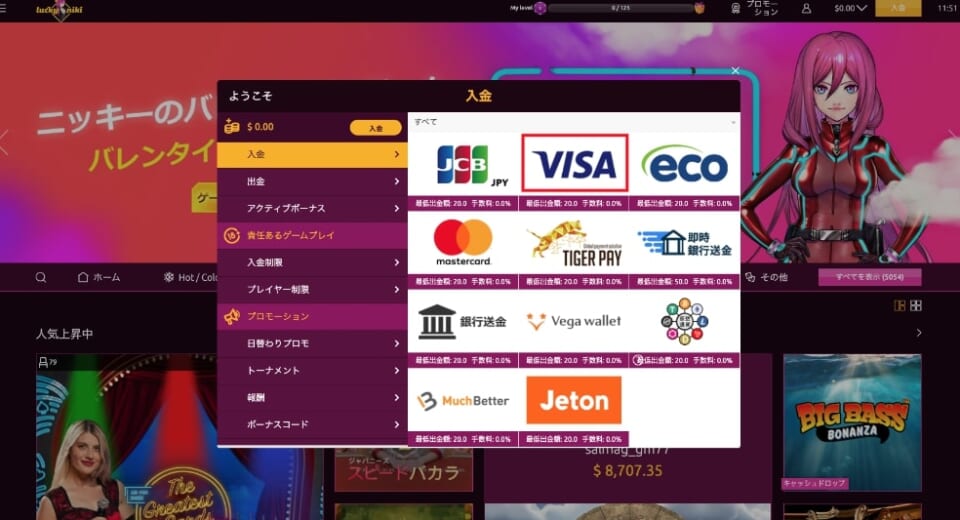 クレジットカード VISA