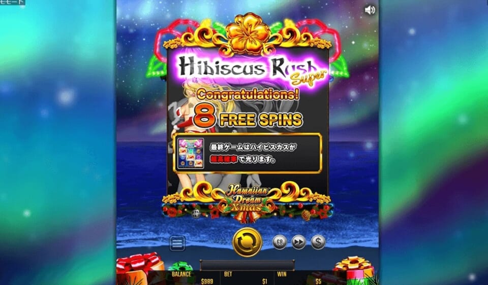 ハイビスカスラッシュスーパー(フリースピン)
