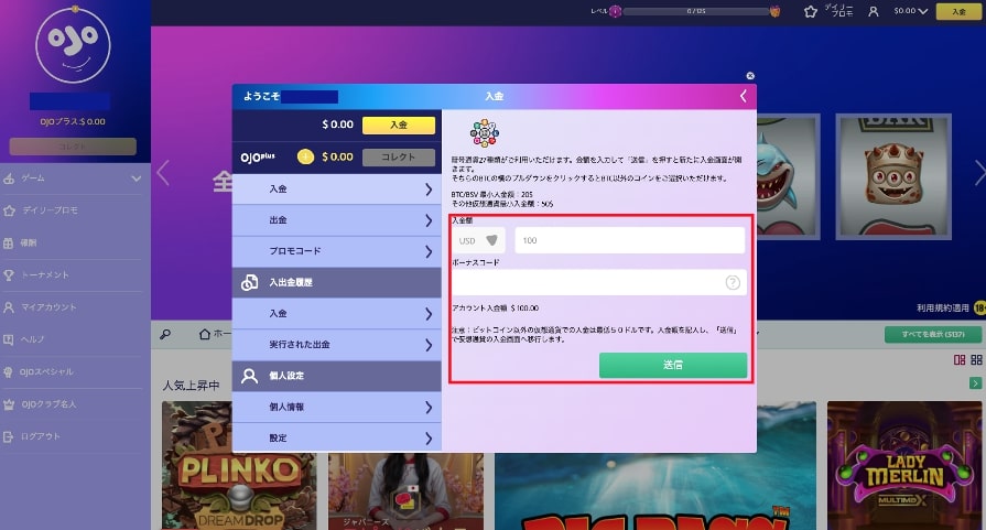 ②利用している通貨と仮想通貨、希望入金額とボーナスコード(任意)を入力して「送信」をクリックすることで入金が完了します。