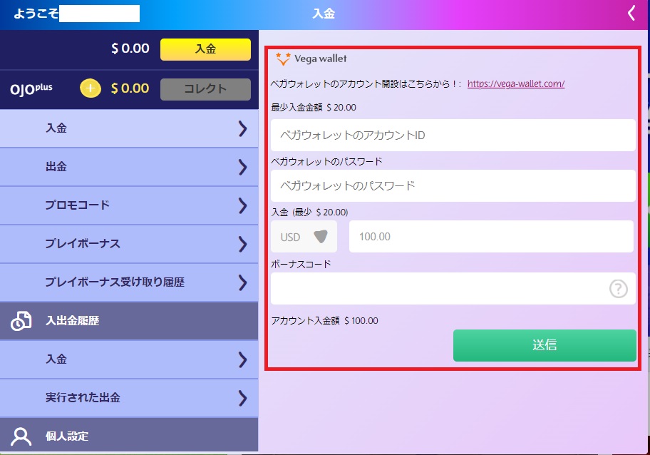 3.アカウント情報と入金額を記入して「入金する」をクリック