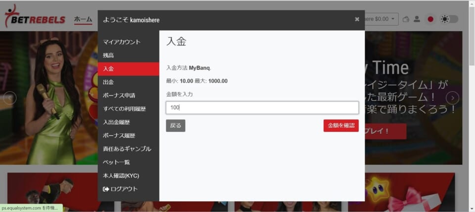 ④金額を入力し、「金額を確認」をクリックします。