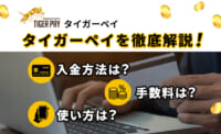 タイガーペイを徹底解説！ 入金方法は？手数料は？使い方は？
