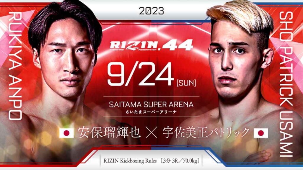 【安保瑠輝也 vs. 宇佐美正パトリック】