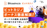 ビットカジノ