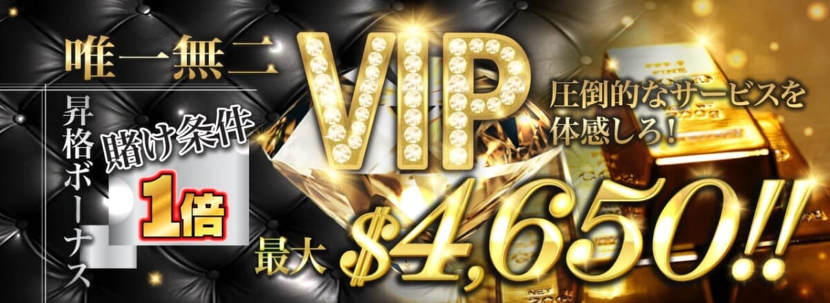 唯一無二VIP圧倒的なサービスを体感しろ!
