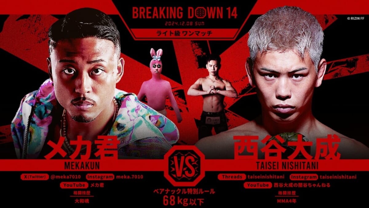 BREAKING DOWN 14 メカ君 VS 西谷大成