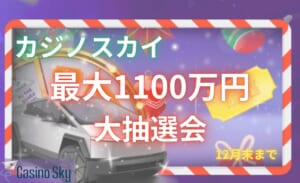 カジノスカイ