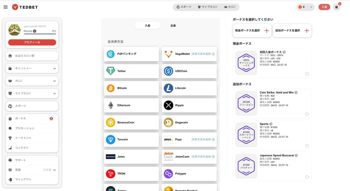 テッドベットの入金