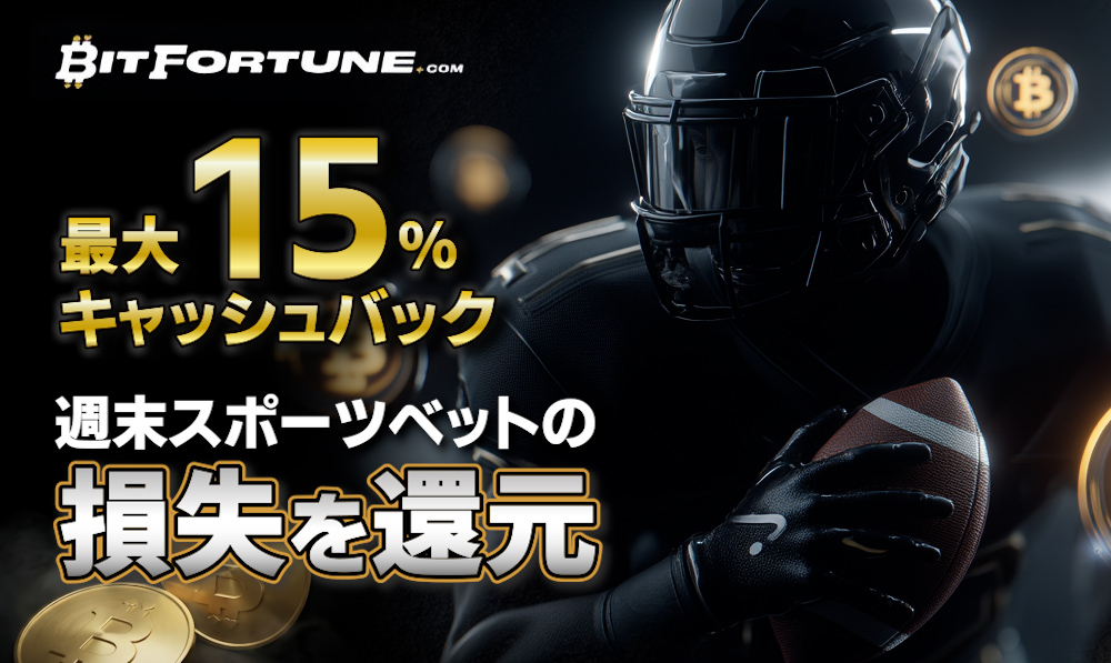 ビットフォーチュン_ランキング